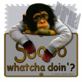 No we don\'t have a monkey!