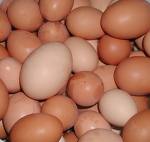 eggs eggs